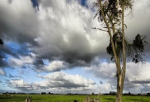 000福登上场74分钟0射0过人0关键传球，1.3亿身价表现低迷.