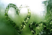 全尤文：尤文正在关注巴埃纳，球员的转会费约为万欧元.