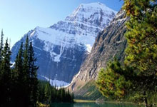 巴西队终有靠谱中锋!5场狂轰6球 球迷：新R9上线.