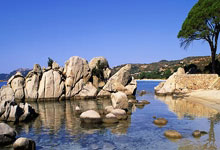 乐天堂联盟：小特6-0横扫墨菲晋级，10万英镑仅差11杆，丁俊.